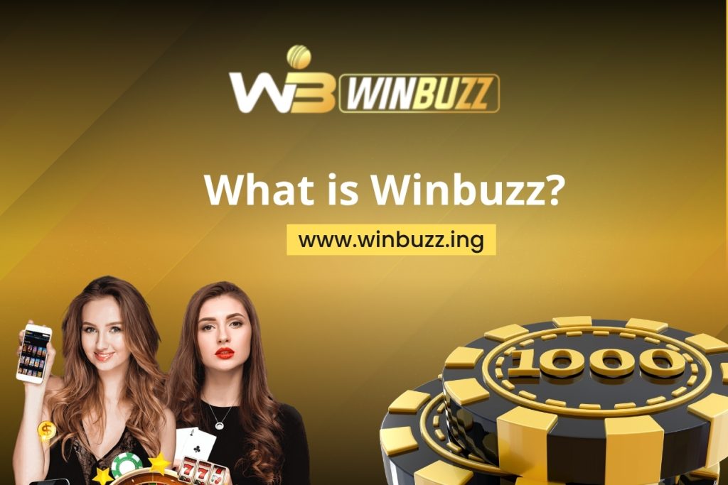 What is Winbuzz