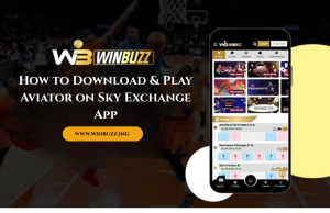 How Does Winbuzz Work